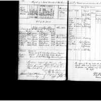 Primary page
