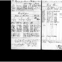 Primary page