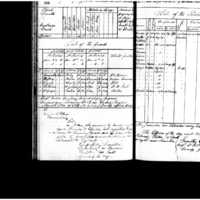 Primary page
