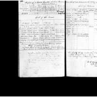 Primary page