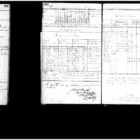 Primary page