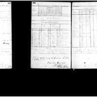 Primary page