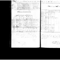 Primary page