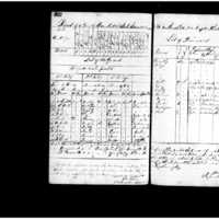 Primary page