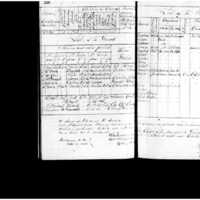 Primary page