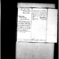 Primary page