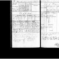 Primary page