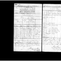 Primary page