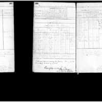 Primary page