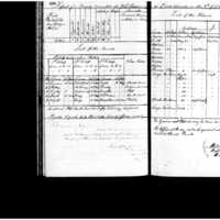 Primary page