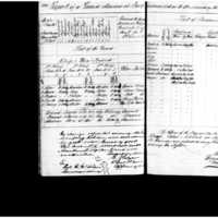 Primary page