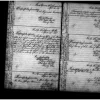 Primary page