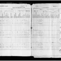 Primary page
