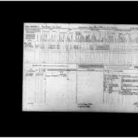 Primary page