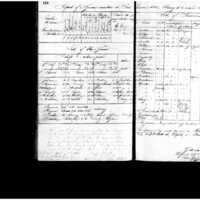 Primary page