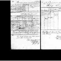 Primary page