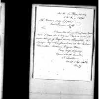 Primary page