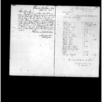 Primary page