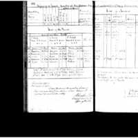 Primary page
