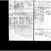 Primary page