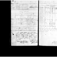 Primary page