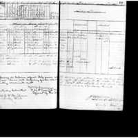 Primary page