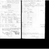 Primary page