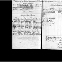 Primary page