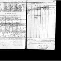 Primary page