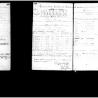 Primary page