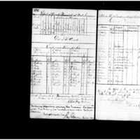 Primary page
