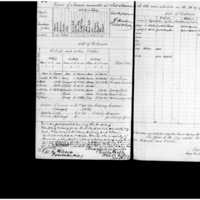 Primary page
