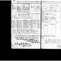 Primary page