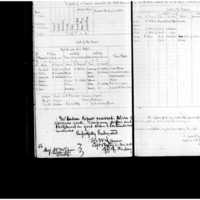 Primary page
