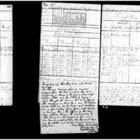 Primary page