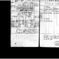 Primary page