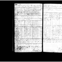 Primary page