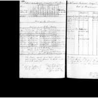 Primary page