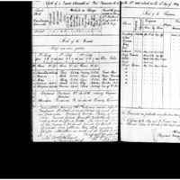 Primary page