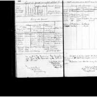 Primary page