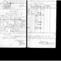 Primary page