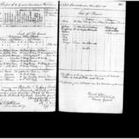 Primary page