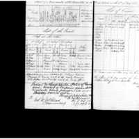 Primary page