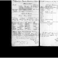 Primary page