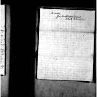 Primary page