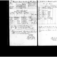 Primary page