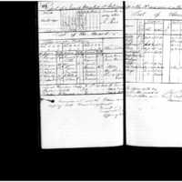 Primary page
