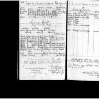 Primary page