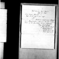Primary page