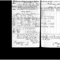 Primary page